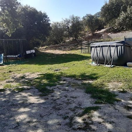Le Calme Διαμέρισμα Viviers Εξωτερικό φωτογραφία